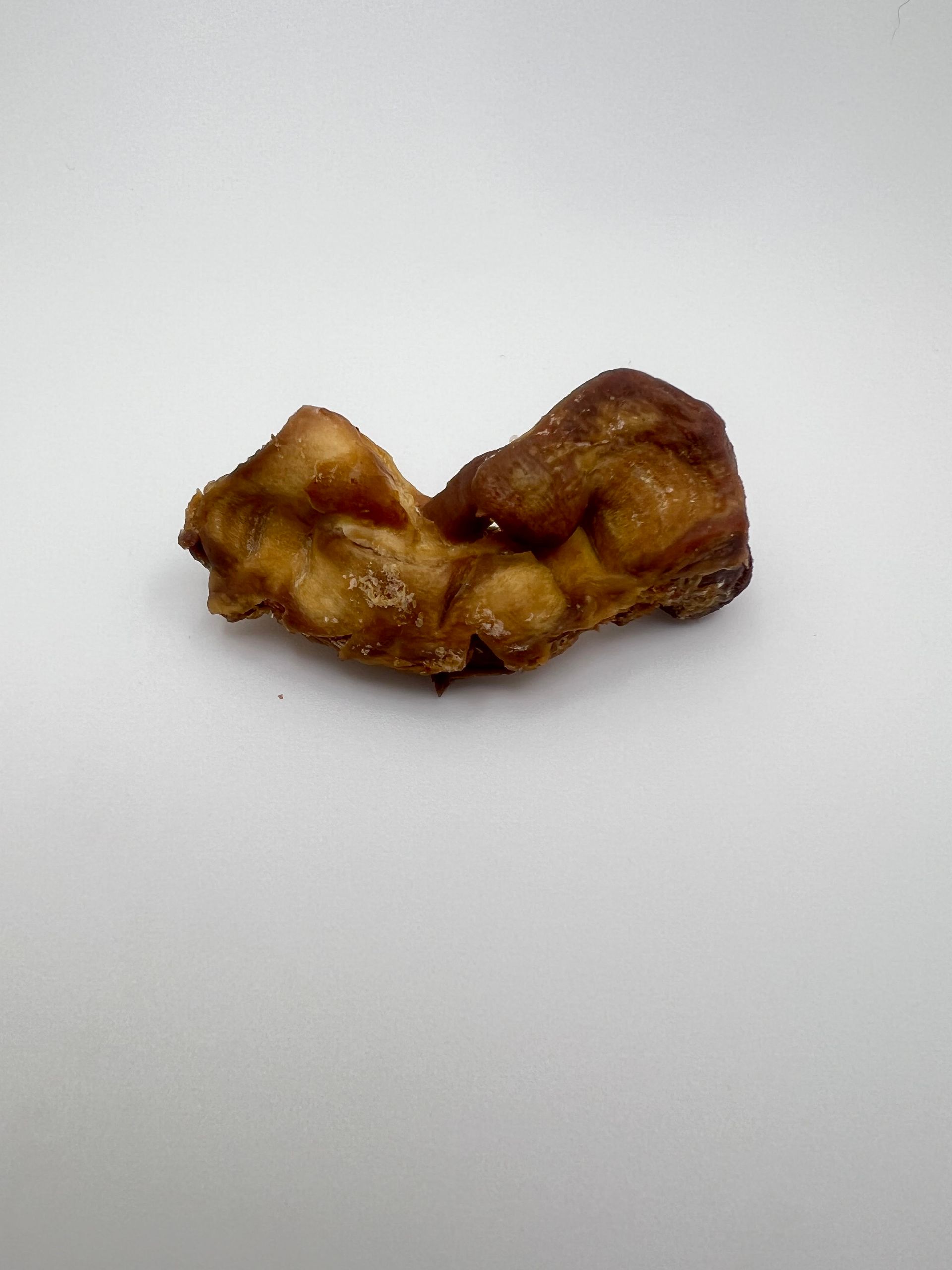 Small arrangement of freeze-dried chicken gizzards