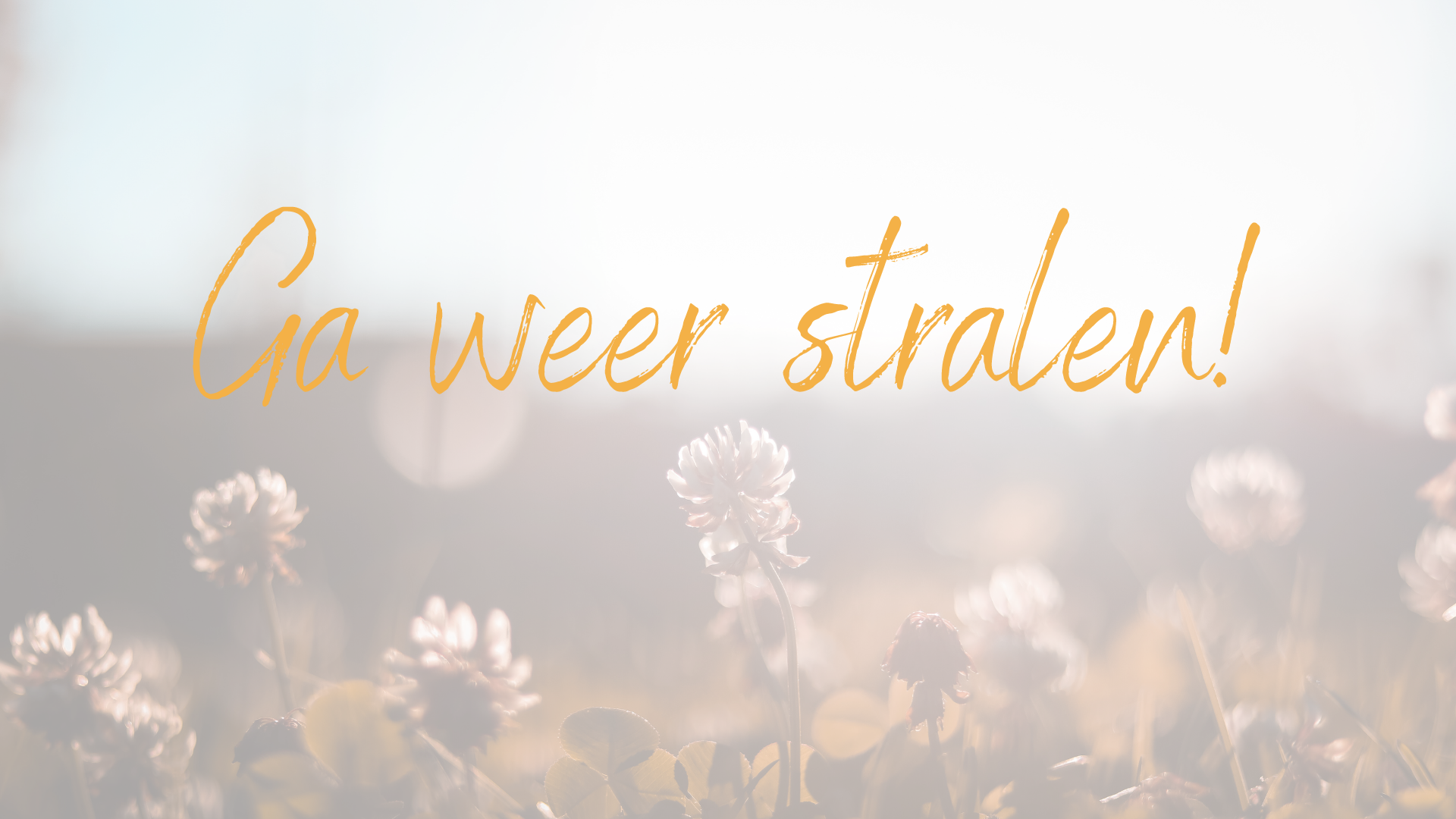 Wie ben ik, wat wil ik, wat kan ik