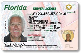 Image of a sample Driver's license