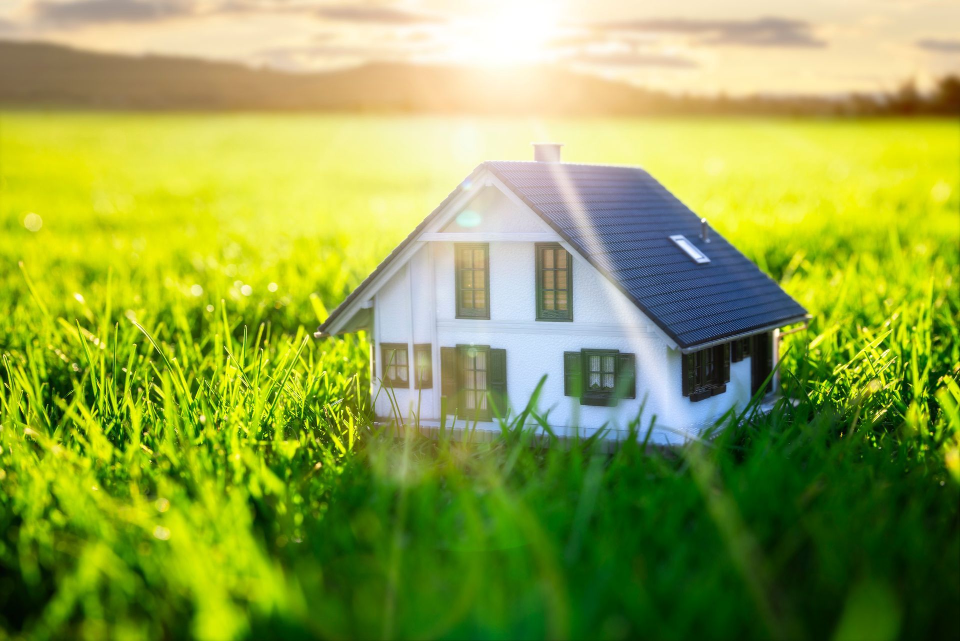 Small white house in a green field, sun shining brightly in the background.