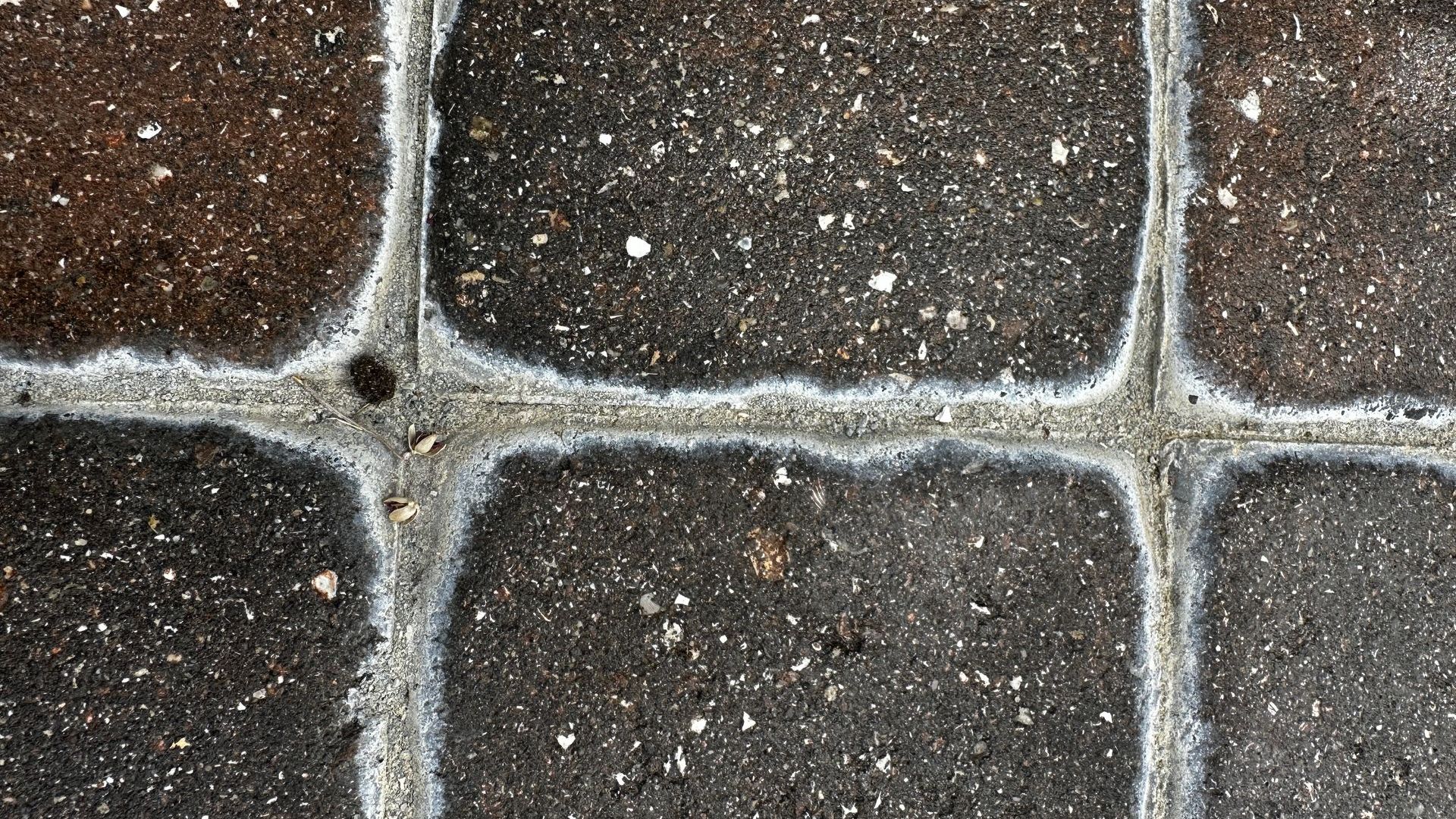 the-mystery-of-white-spots-on-pavers-causes-and-solutions