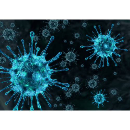 Une image générée par ordinateur d'un virus sur un fond sombre.