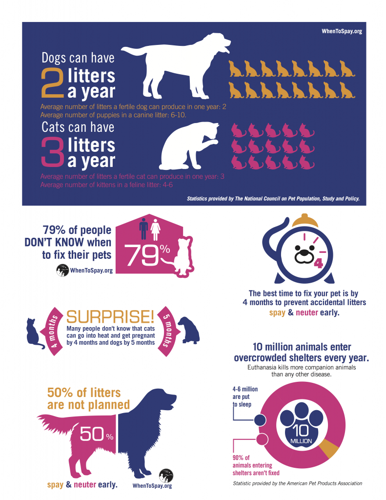 A poster that says dogs can have 2 litters a year