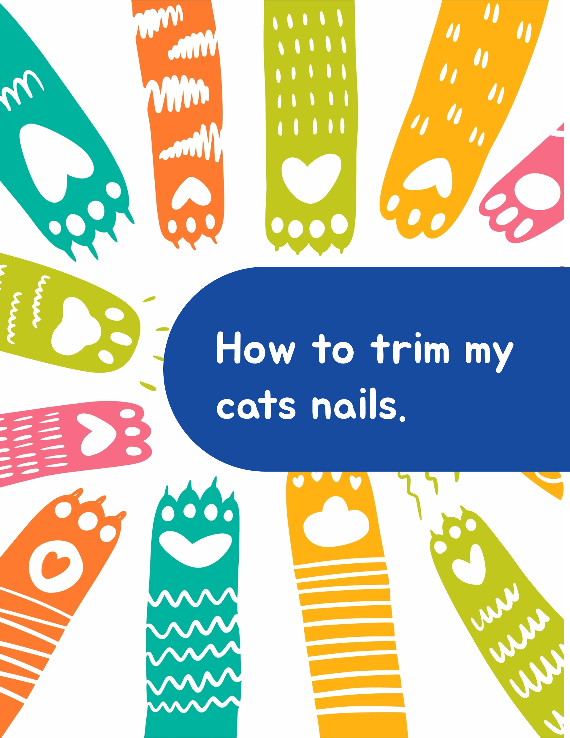 How to trim my cats nails.