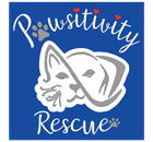 Pawsitivity Rescue