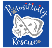 Pawsitivity Rescue