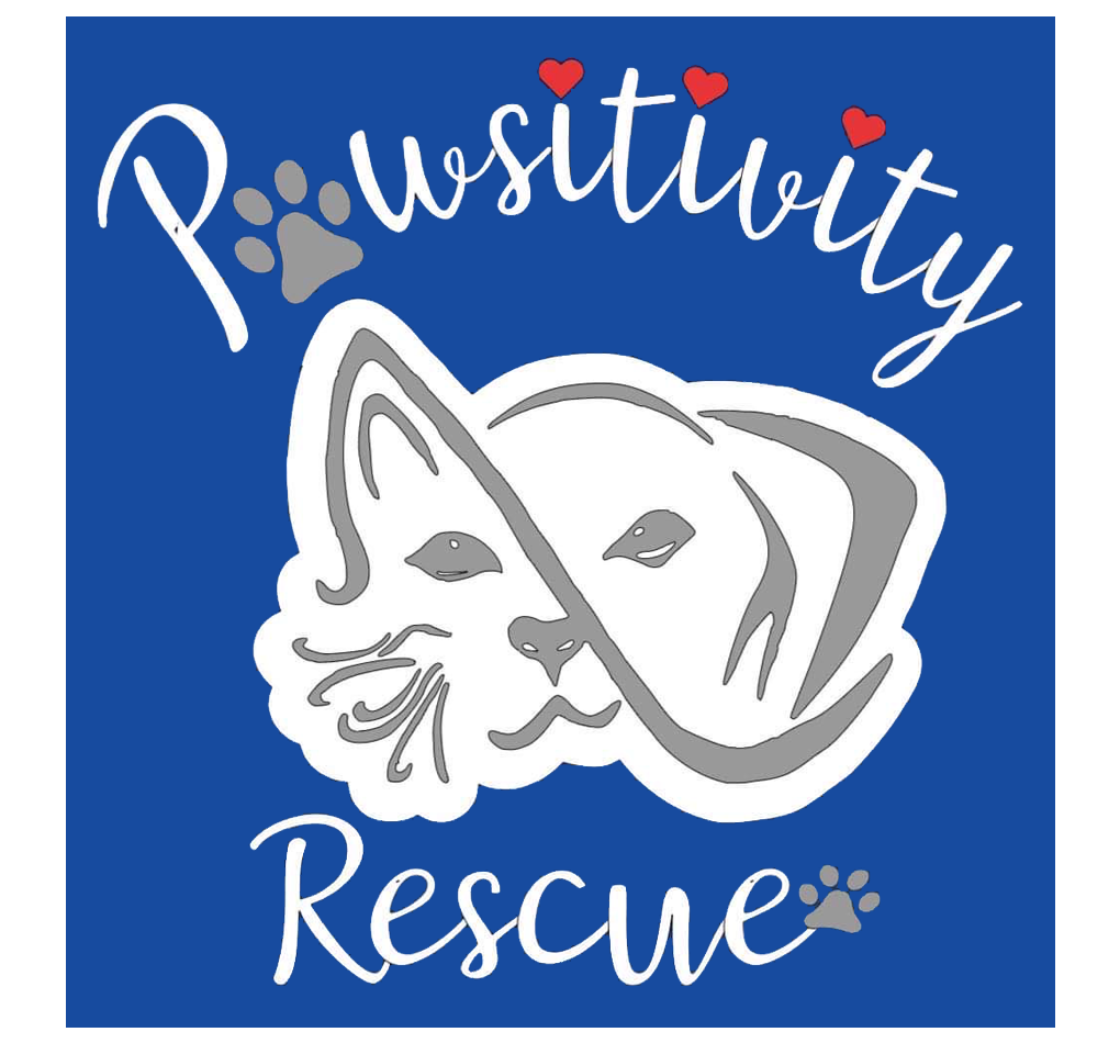 Pawsitivity Rescue