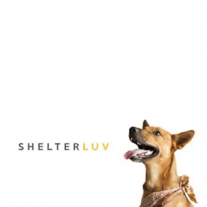 Shelterluv