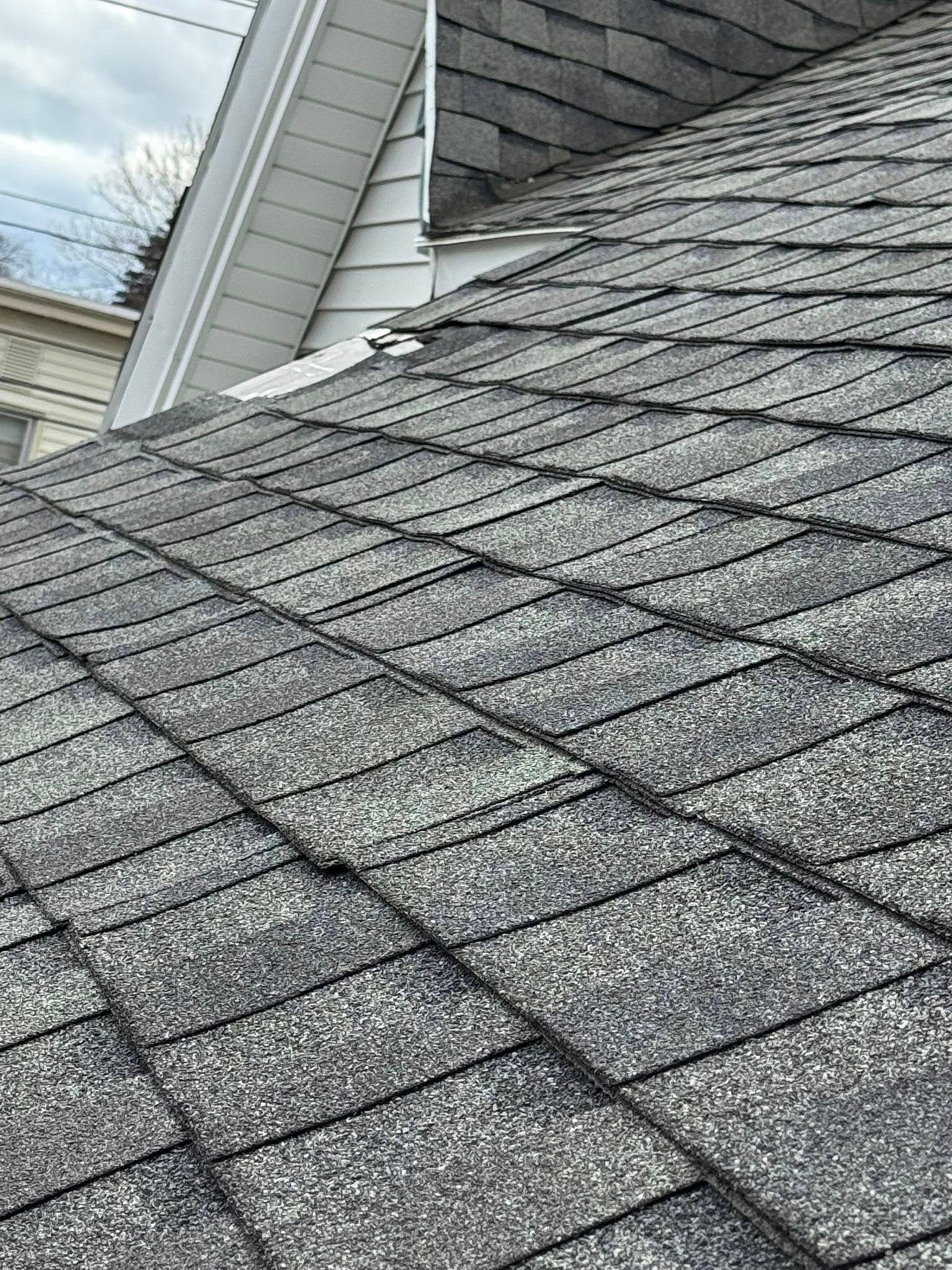 Gray asphalt shingle roof with a section of white siding visible.
