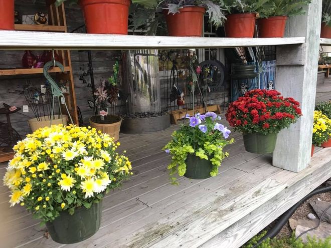 Flower Vase — Coopersburg, PA — Tilley’s Nursery Inc.