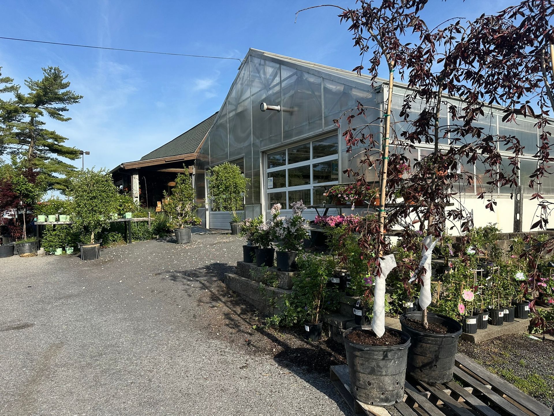 Flower Vase — Coopersburg, PA — Tilley’s Nursery Inc.