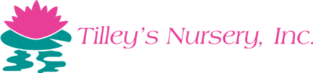 Tilley’s Nursery Inc.