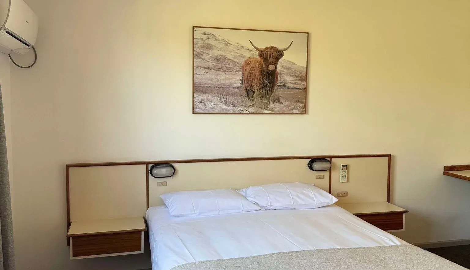 There is a Picture of a Cow on the Wall Above the Bed — Country Comfort Gin Gin Wild Scotsman Motor Inn in Gin Gin, QLD