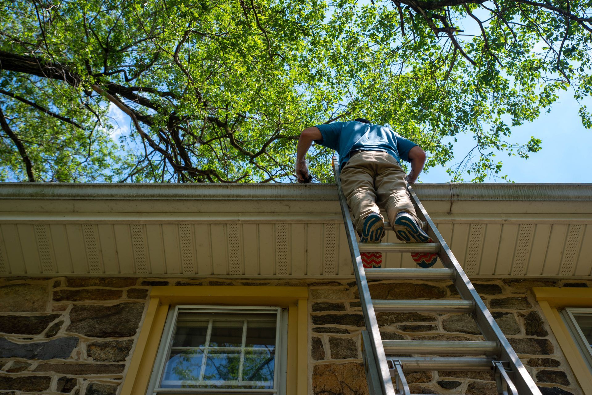 A man is standing on a ladder on the roof of a house.