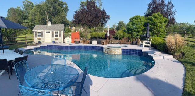 A blue swimming pool with a white and teal border surrounded by greenery and a brick wall.