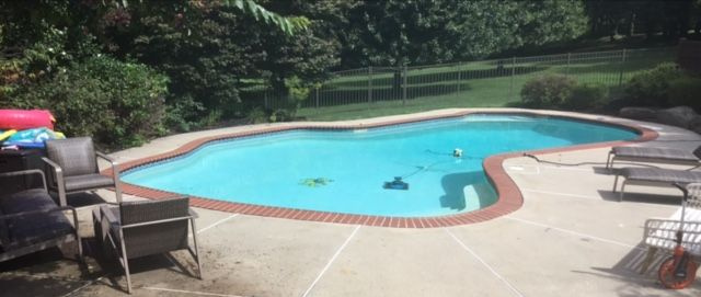 An empty rectangular pool with a beige surface surrounded by a brown border, in a grassy yard, with a shed.