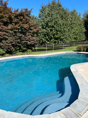 Swimming pool with bench, waterfall, and shed in a sunny backyard setting.