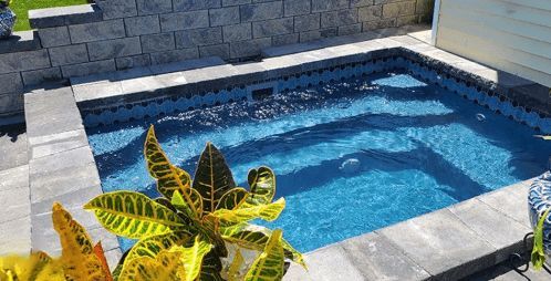 Small rectangular pool with blue water, gray stone surround, and Croton plant in foreground.