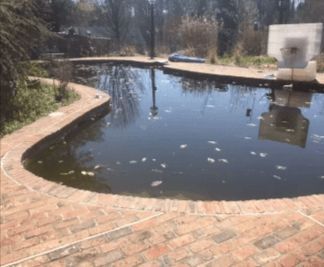 A dark, reflective pond with a brick border. Some leaves float on the surface.