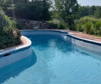 A blue swimming pool with a white and teal border surrounded by greenery and a brick wall.