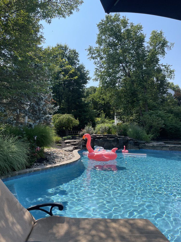 Swimming pool with pink flamingo floaties on a sunny day, surrounded by lush greenery.
