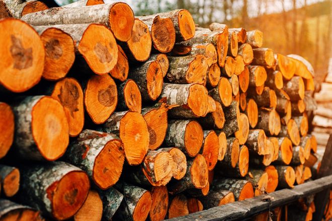 Firewood — Hermitage, TN — Angove’s Firewood