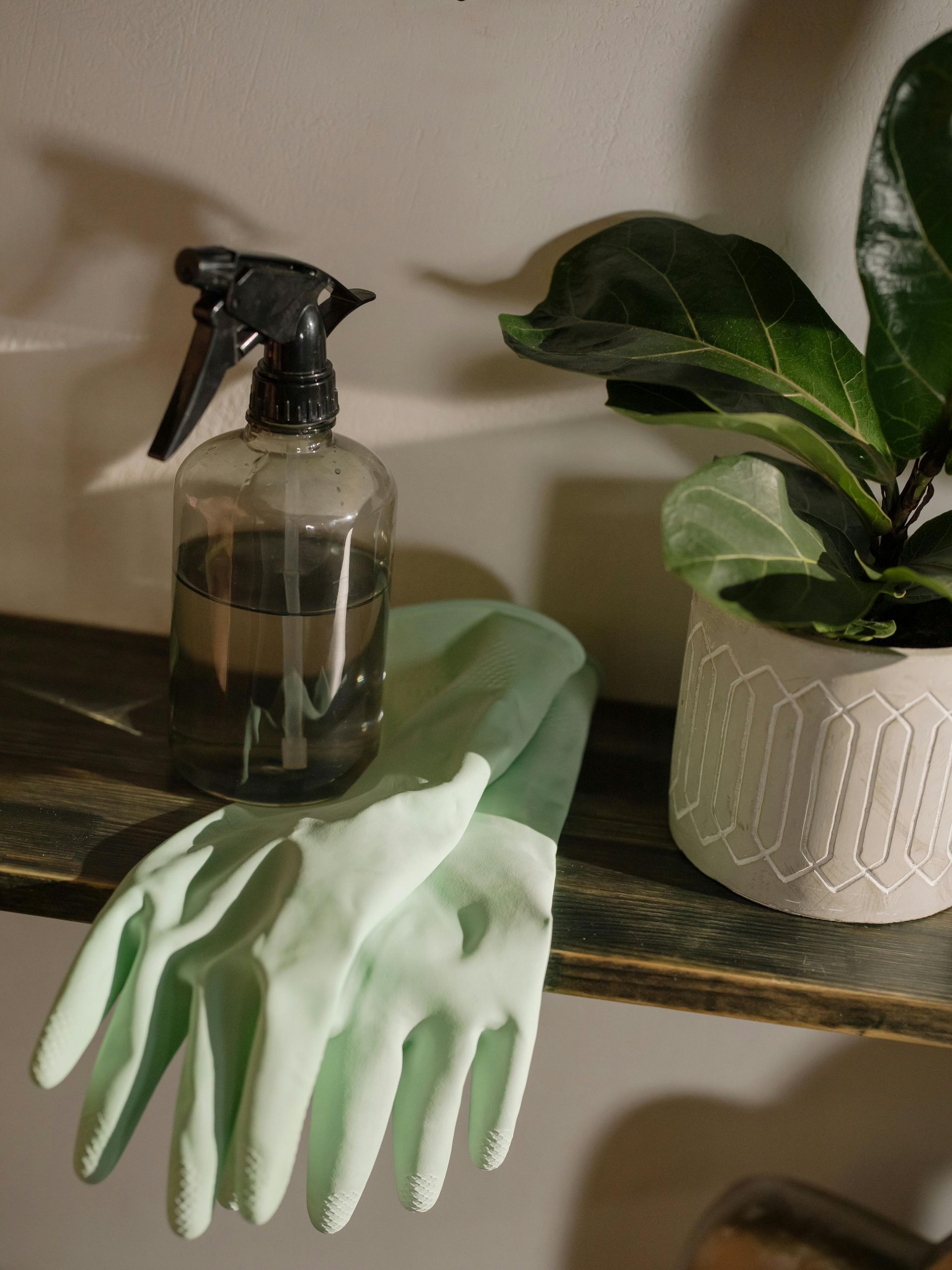 Spray bottle, rubber gloves, and potted plant on a shelf; cleaning supplies.