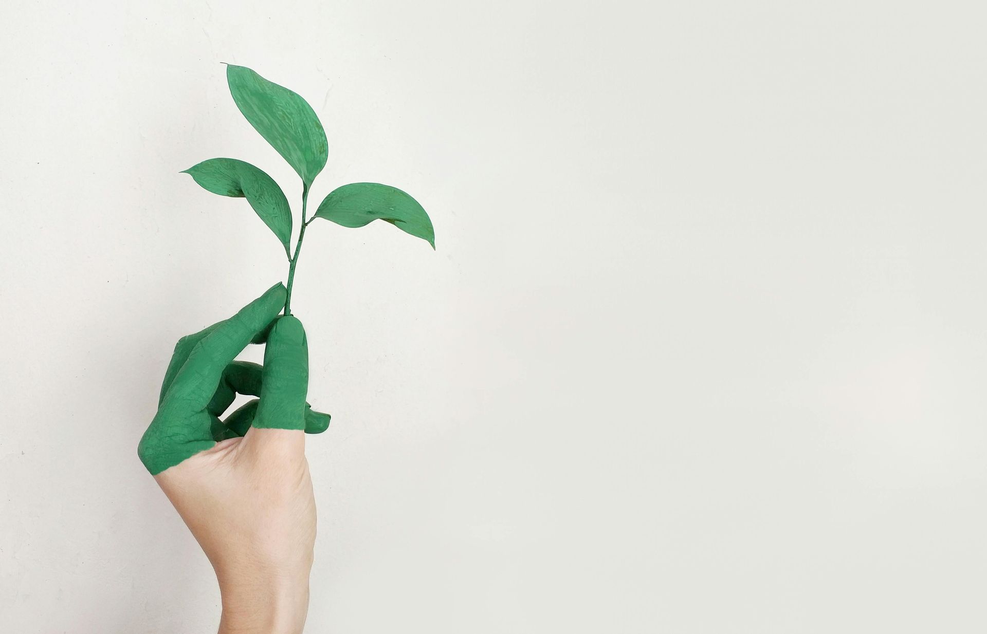 Green painted hand holding a plant, against a white background.