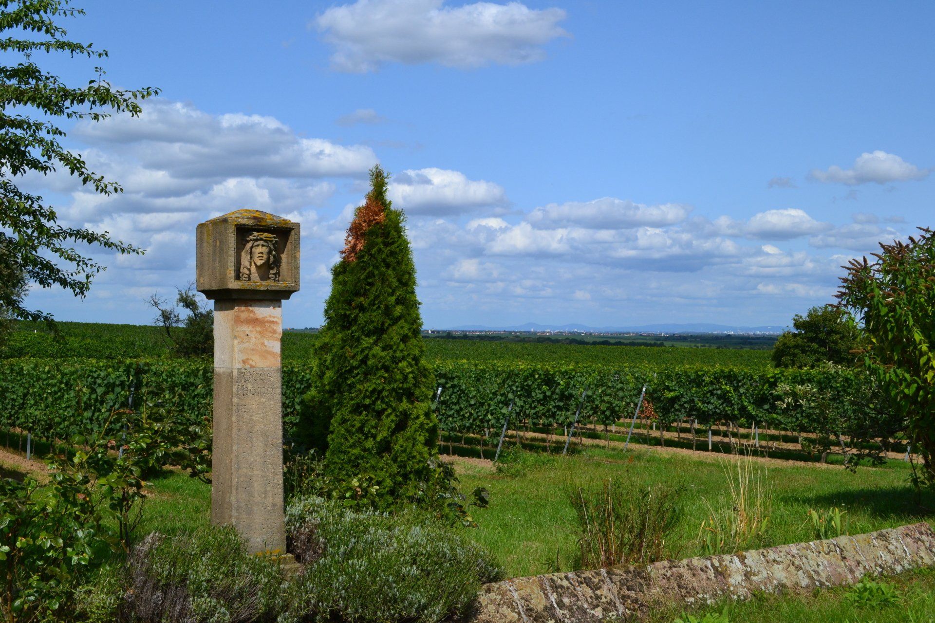 Deidesheimer Kalkofen