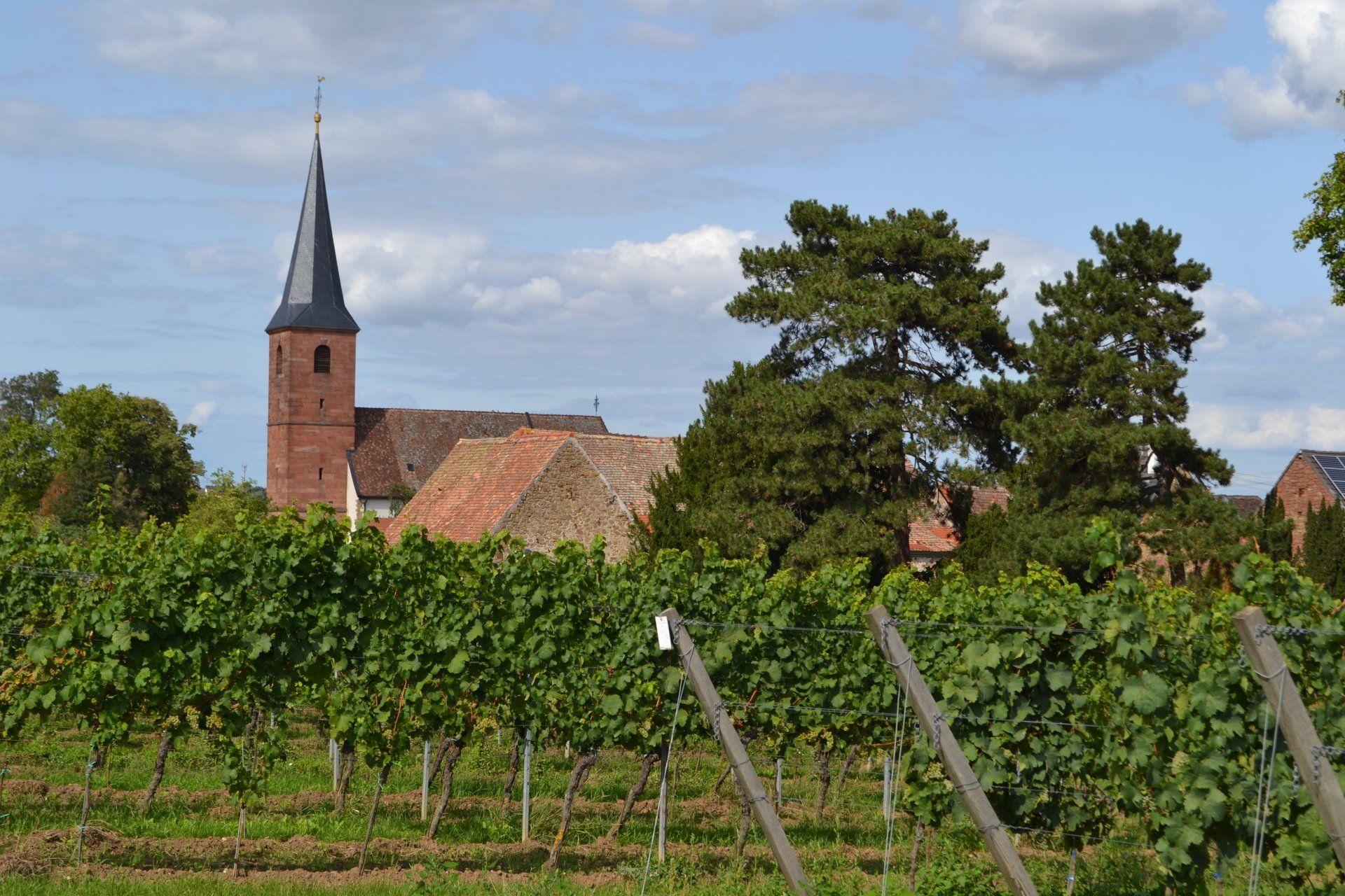 Forster Jesuitengarten