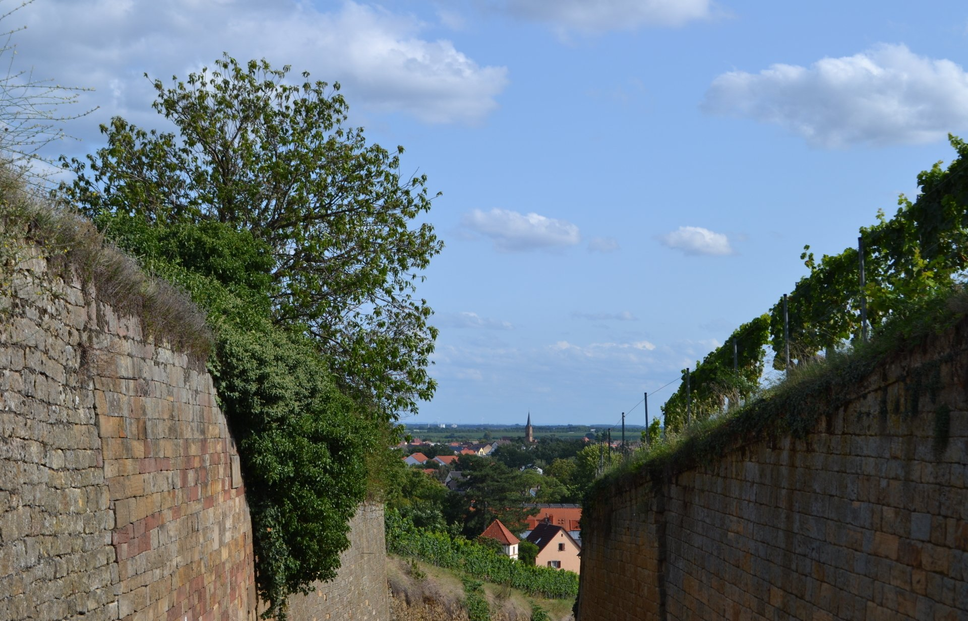 Deidesheimer Hofstück