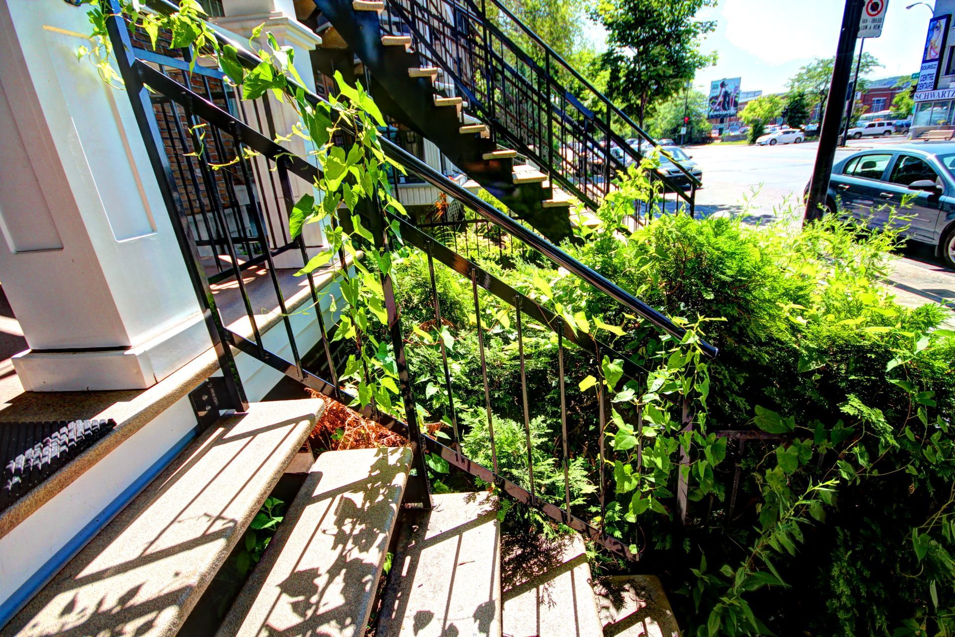 Un escalier menant à un bâtiment entouré de plantes