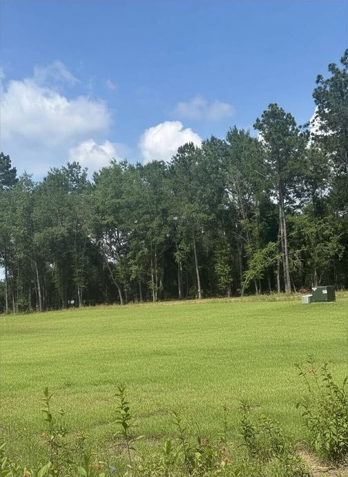 Grassy field under a blue sky with trees lining the background and a small white structure at right