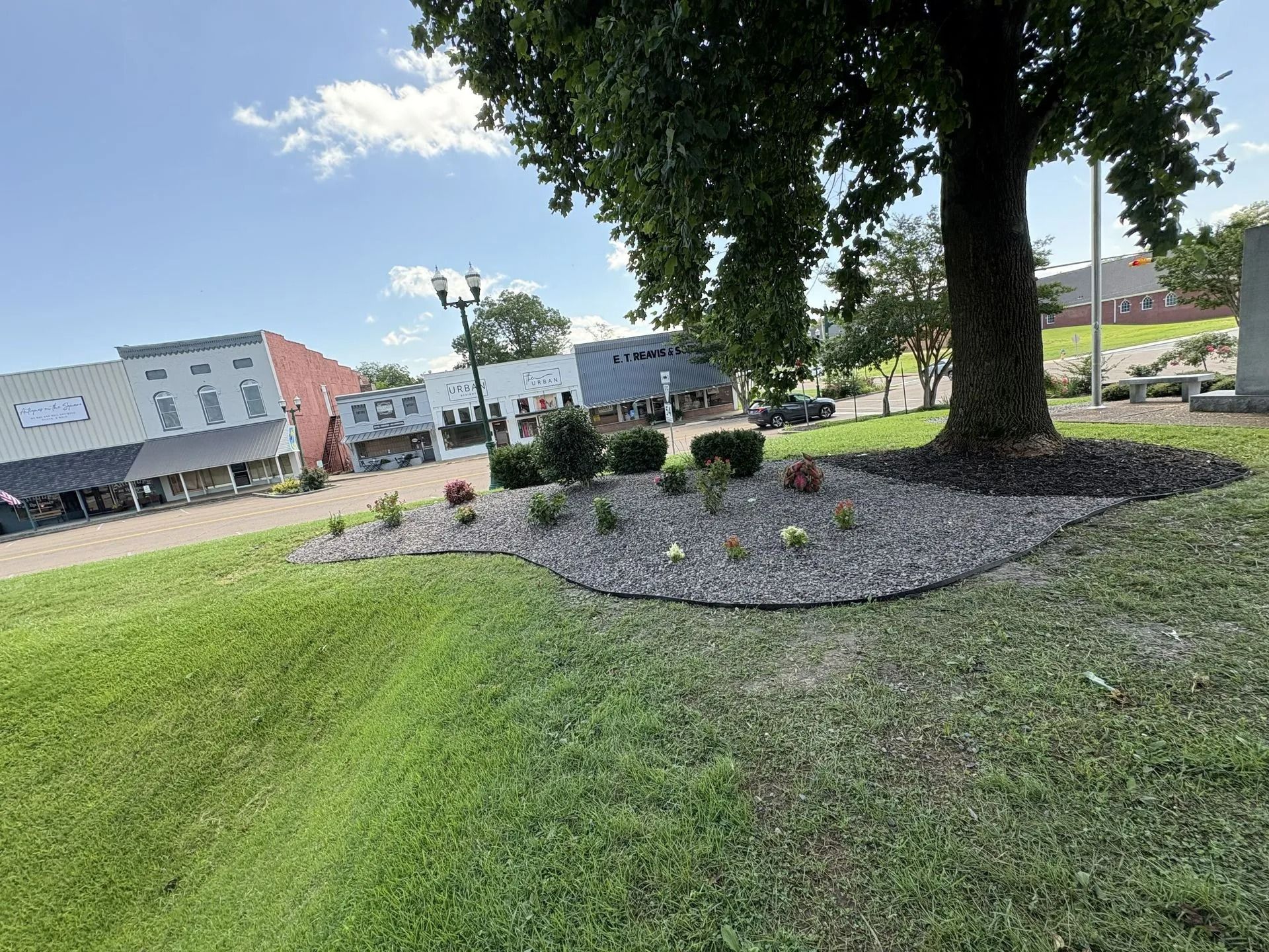 A green lawn with a rock garden and tree in front of old buildings on a sunny day.