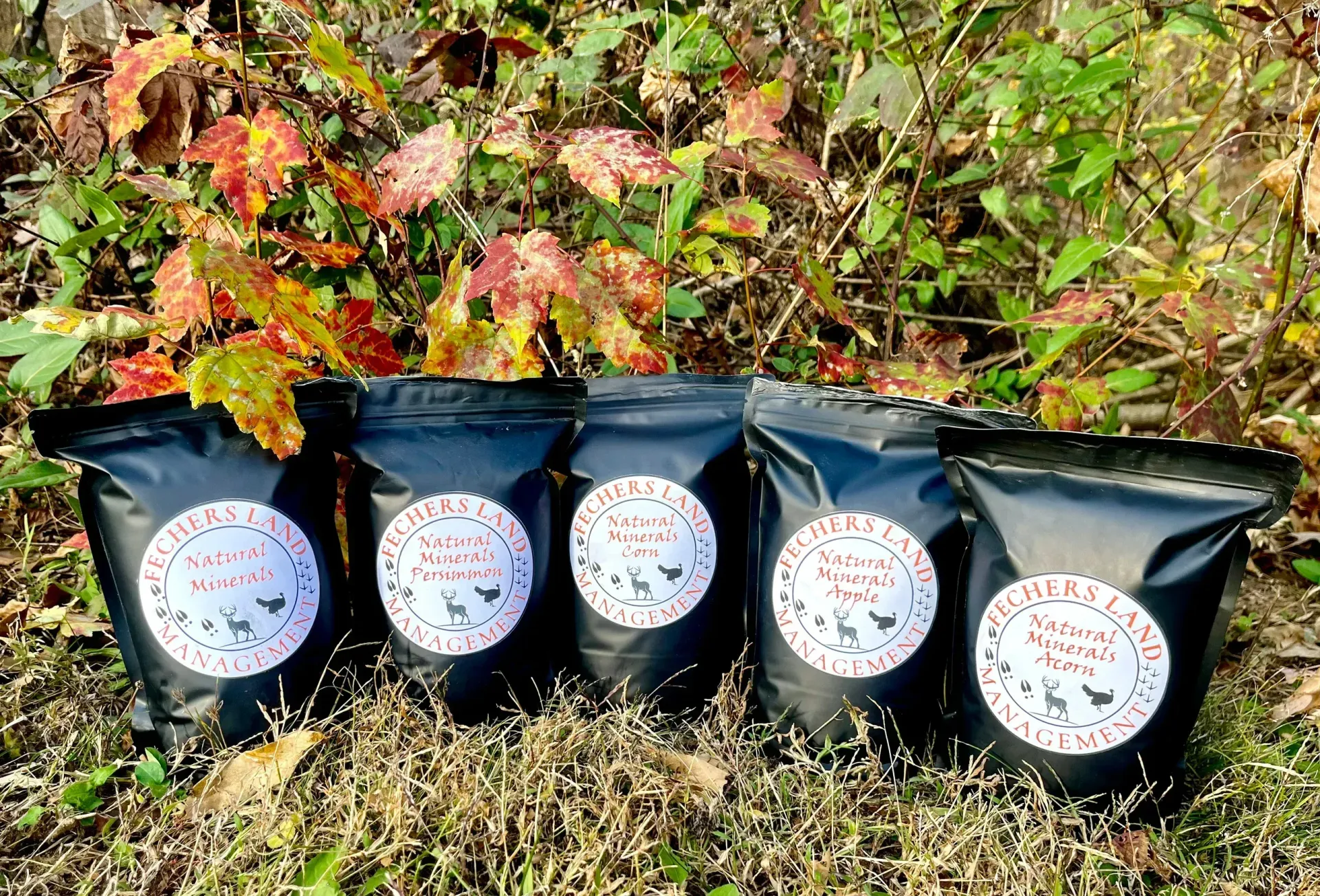 Five black bags with white labels on a grassy surface with colorful autumn leaves.