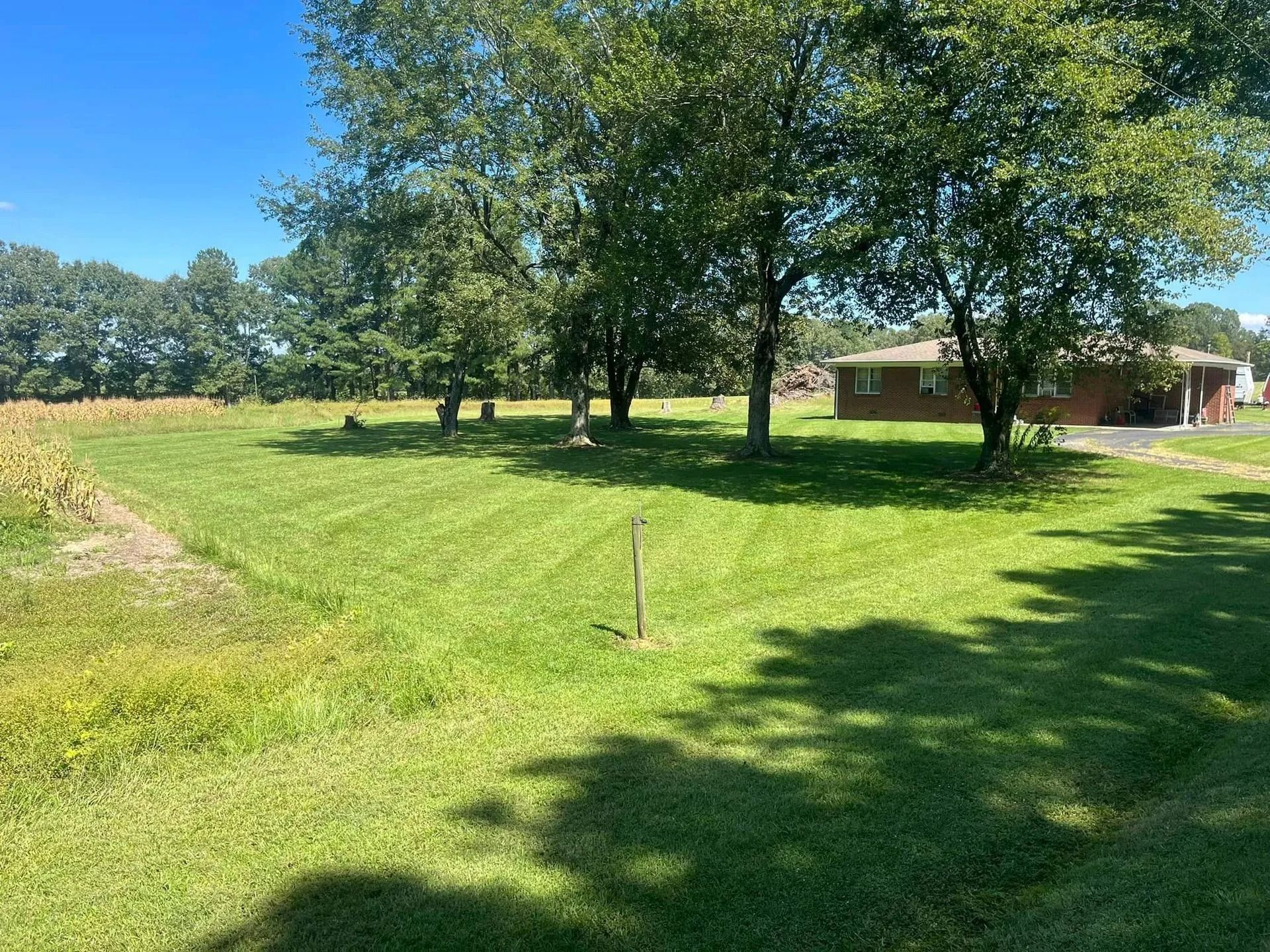 Green lawn with trees and house in the background on a sunny day.