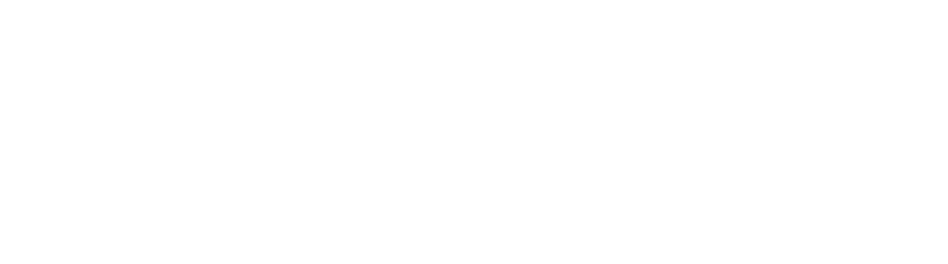 The Virtual Rainbow Bridge Foundation