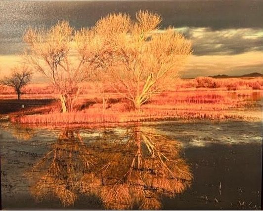 SUNSET AT BOSQUE DEL APACHE; photograph by Charlie Hawkins