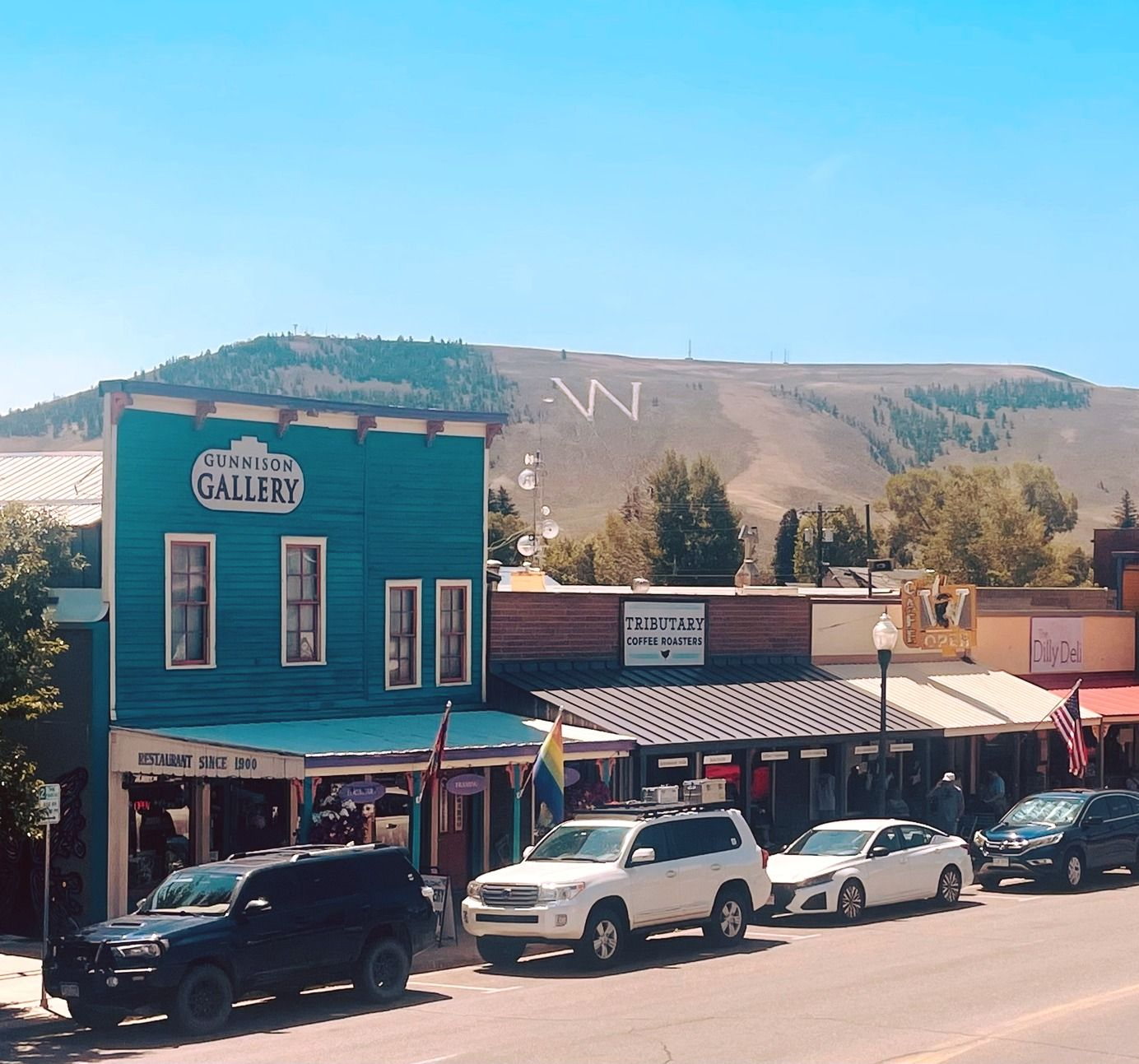 Buildings line a street with parked cars. A mountain with a large