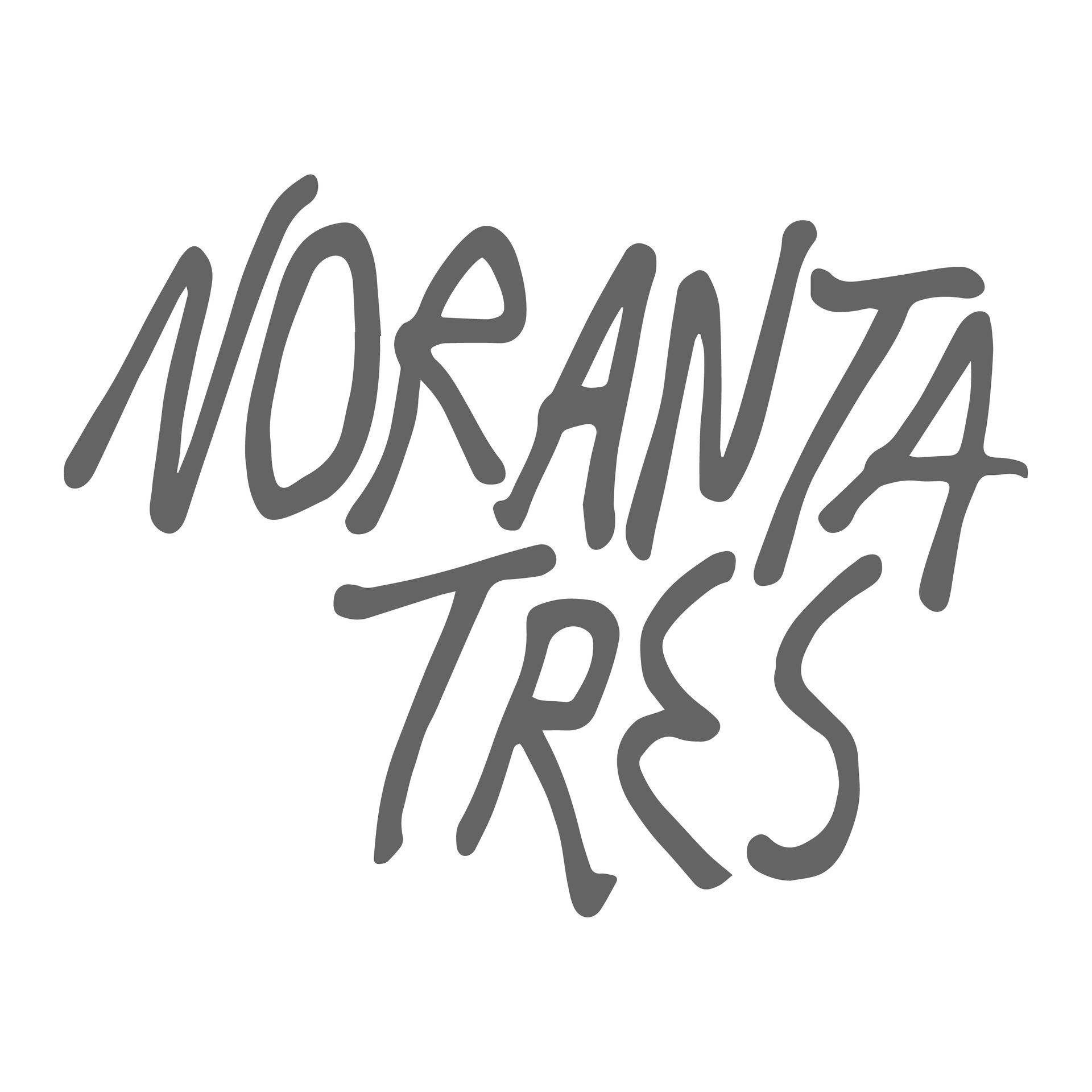 Logotip Noranta tres Andorra