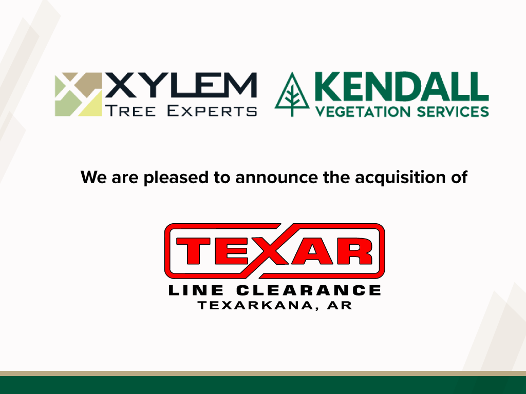 Xylem Tree Experts and Kendall Vegetation Services announce the acquisition of Texar Line Clearance