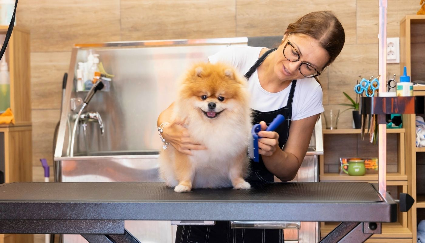 A dog grooming franchise opportunity that’s a great investment in 2025
