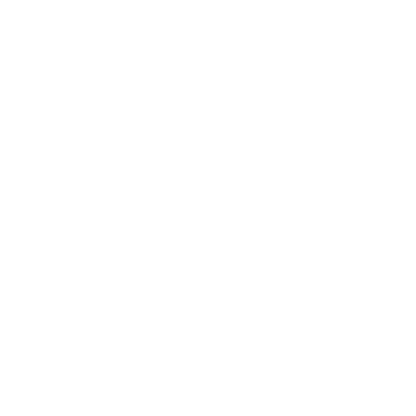 IATA - International Air Transport Association