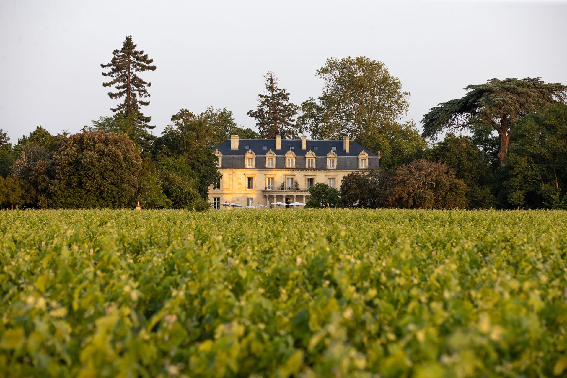 La Maison d’Estournel, Saint-Estèphe