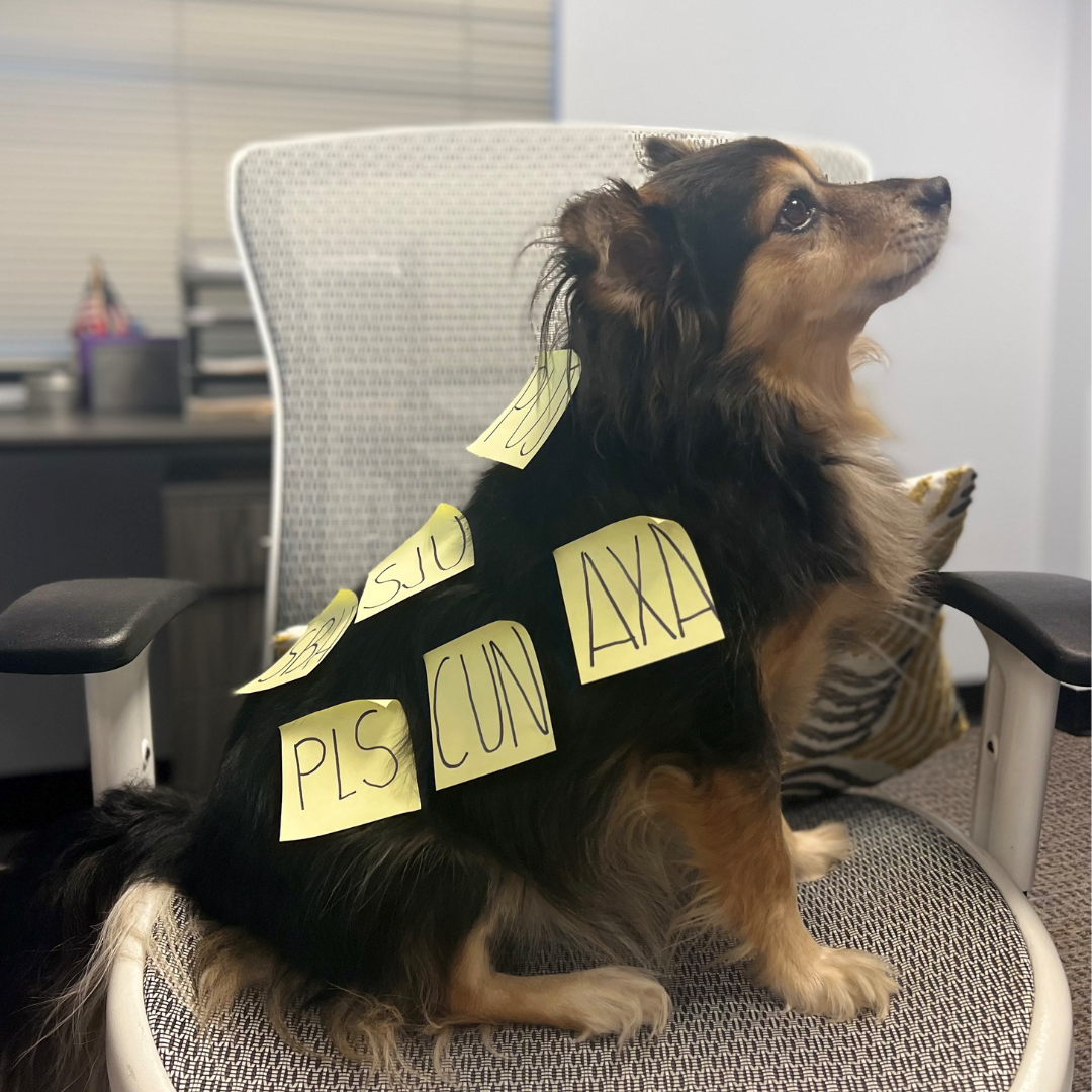 Woman in sunglasses and off-the-shoulder dress smiles on a beach with turquoise water.