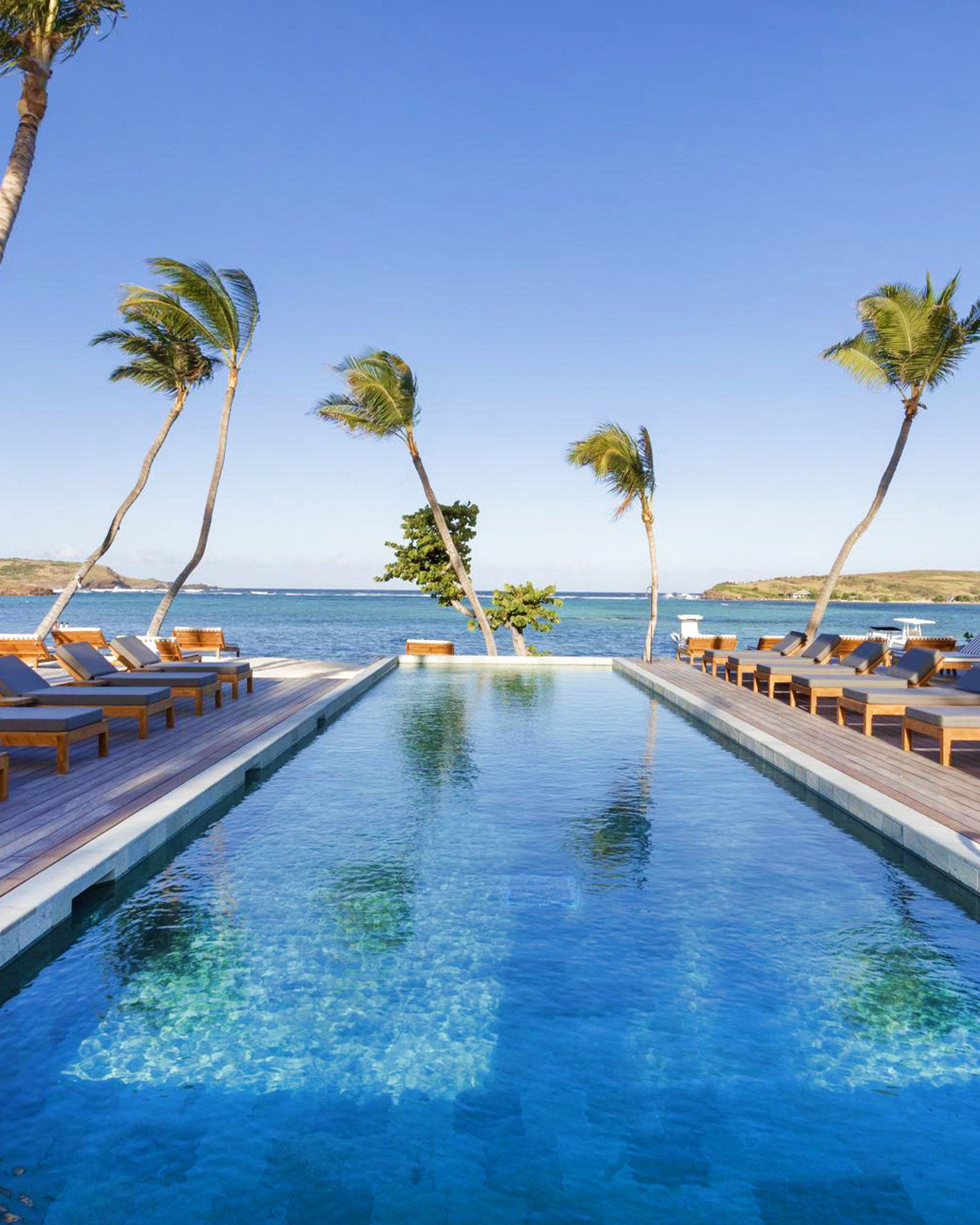 Infinity pool overlooking ocean, lined with lounge chairs, palm trees blowing in wind, blue sky.