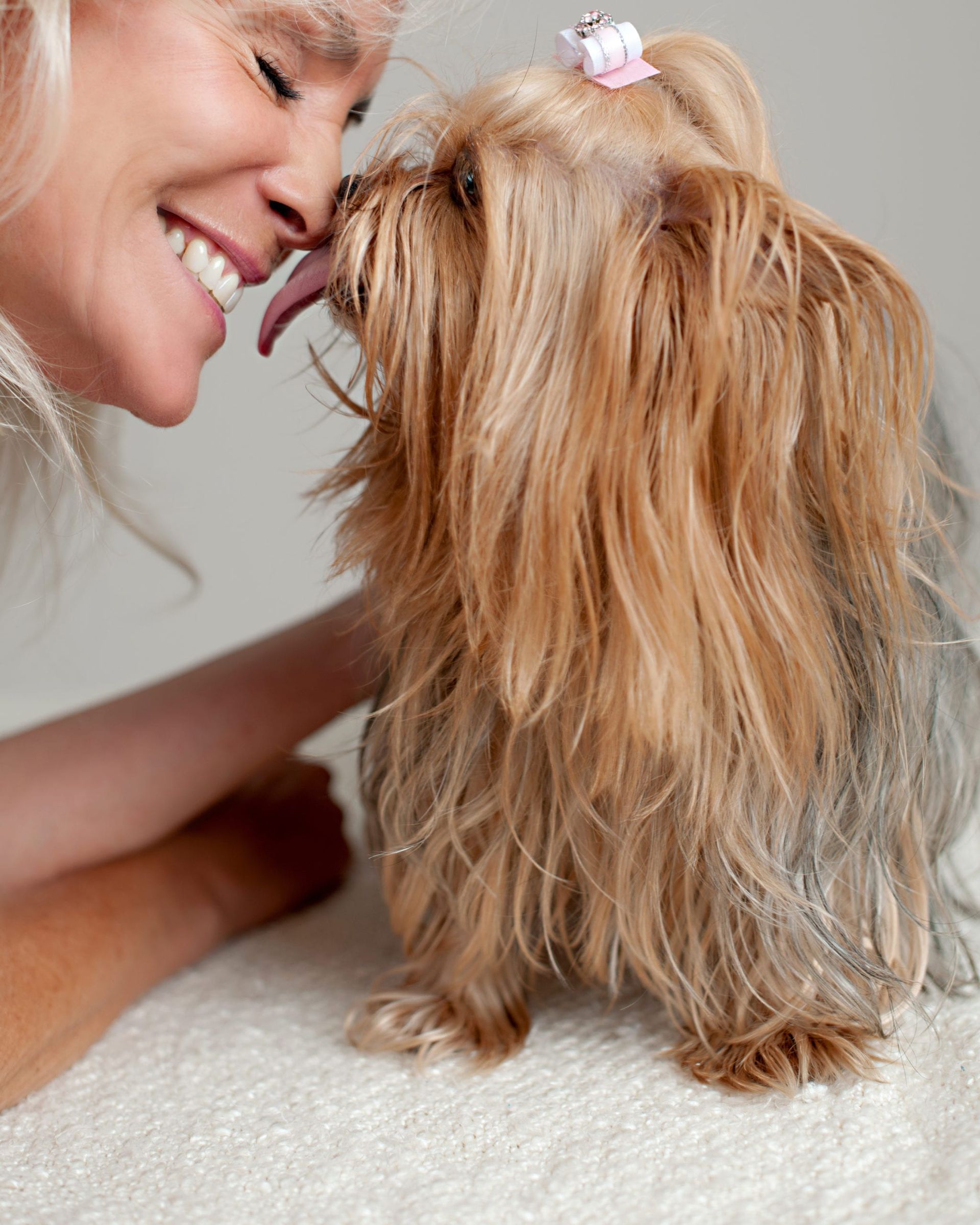 Woman smiles as Yorkshire Terrier licks her face.