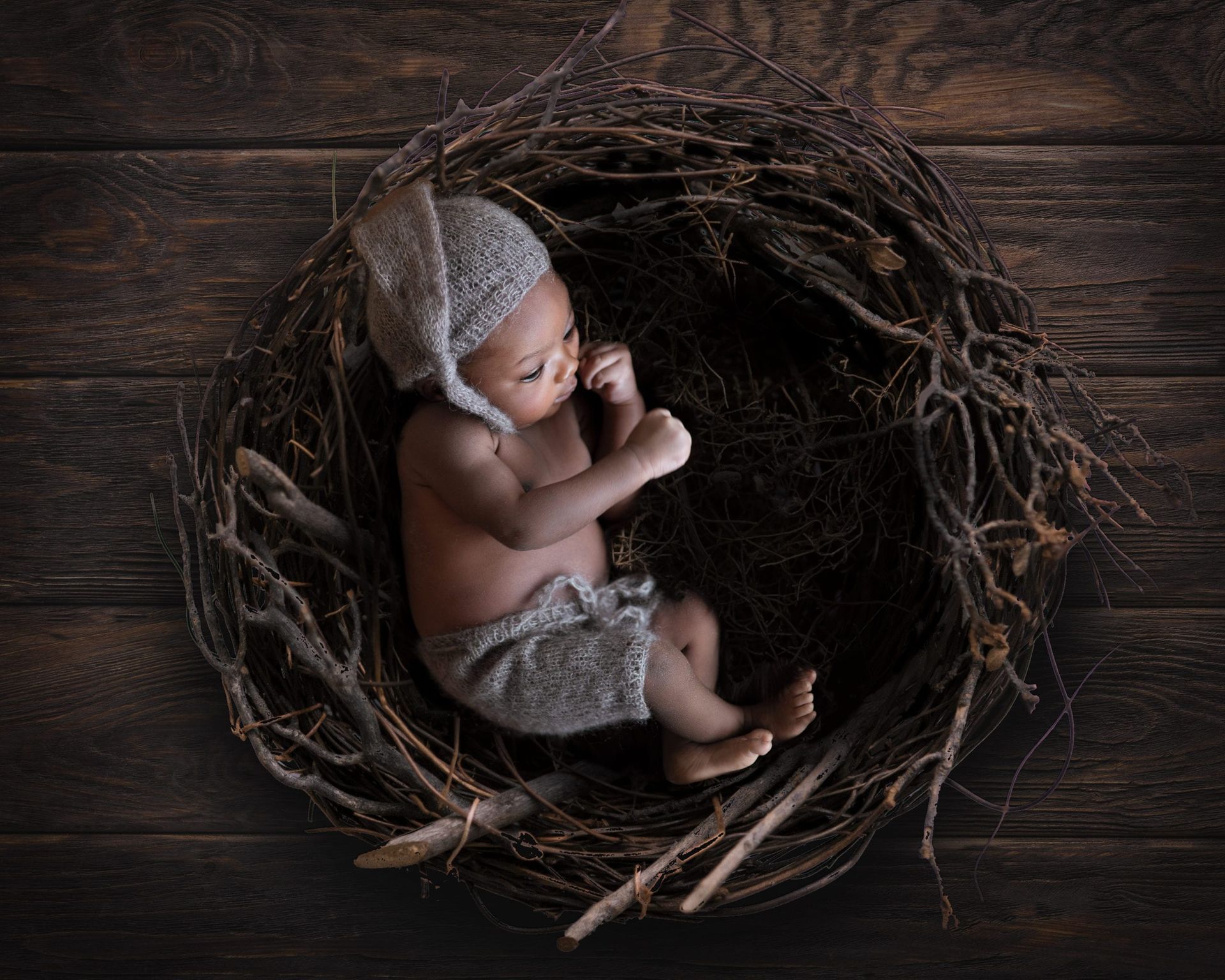 Newborn baby in knitted cap and shorts nestled in a twig nest on a wooden background.