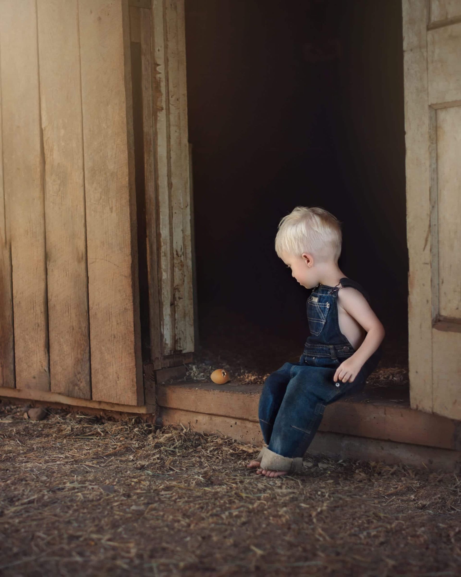 Blond boy in overalls sits looking at eggs in a barn doorway, with sunlit wood and dark interior.