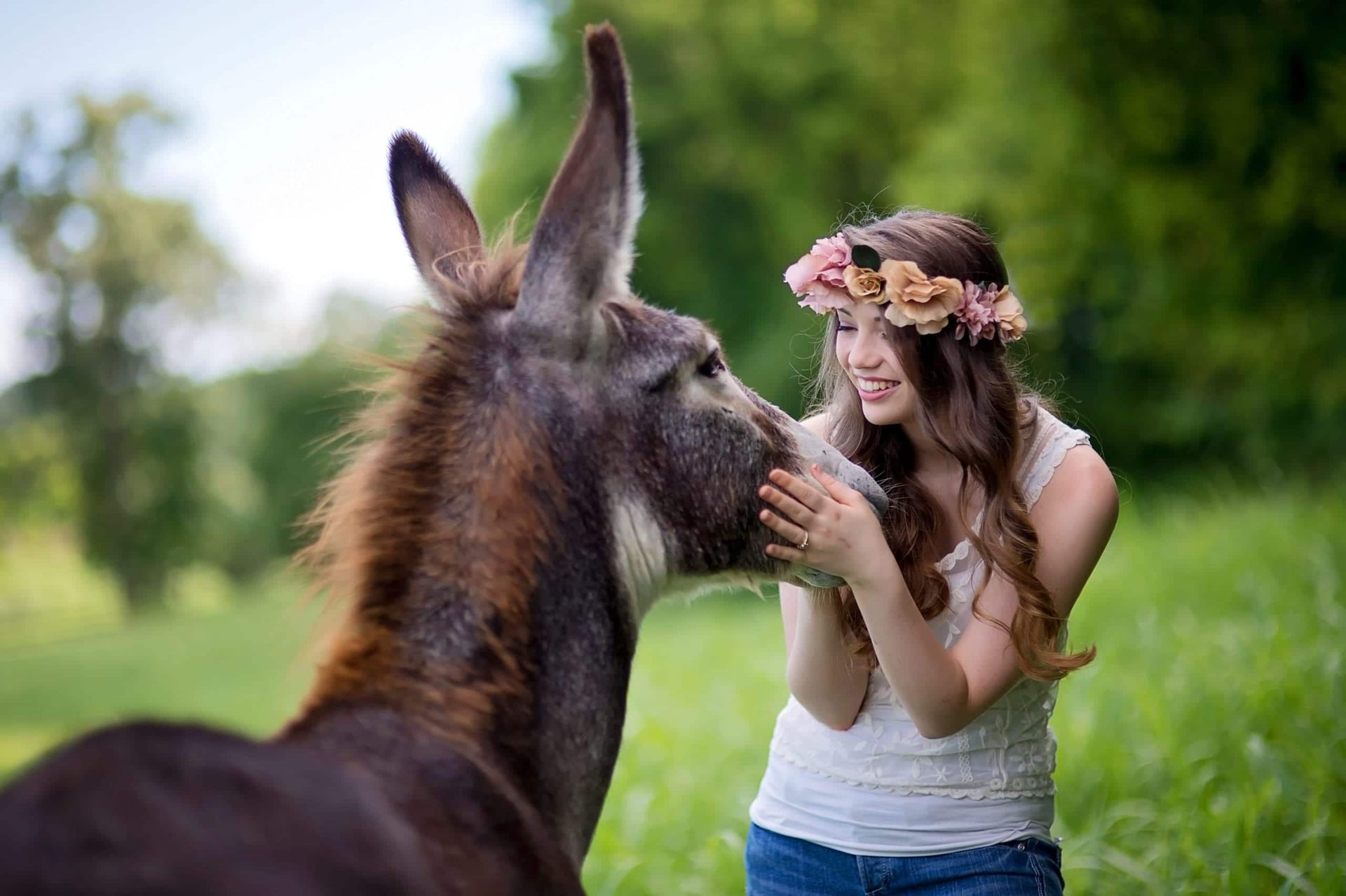 Young woman in flower crown petting a donkey in a grassy field.
